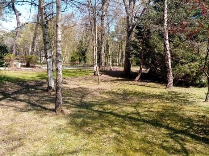 Villa Les Lutins Le Touquet Ngoại thất bức ảnh